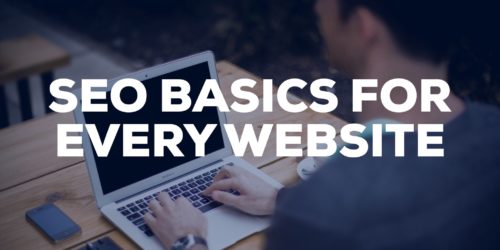 SEO Basics for Every Website